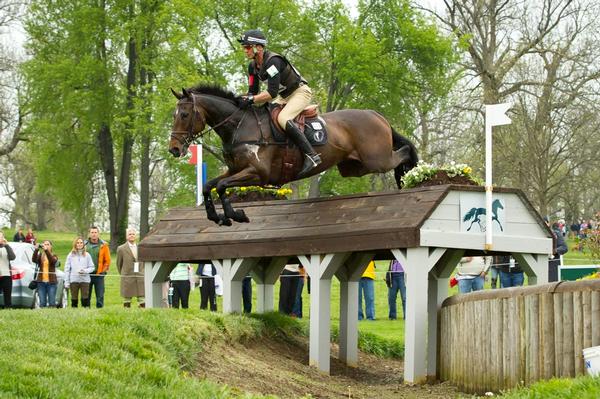 Andrew Nicholson aboard Calico Joe during the cross country phase of the Rolex Kentucky Three Dave event this morning. The combination sit in second place, just behind Nicholson and his other mount Quimbo.